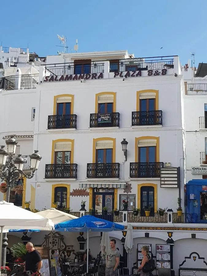 Salamandra Plaza Competa Spain